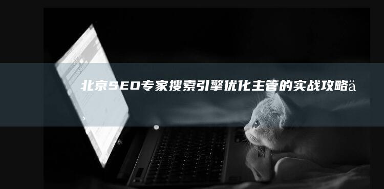 北京SEO专家：搜索引擎优化主管的实战攻略与策略